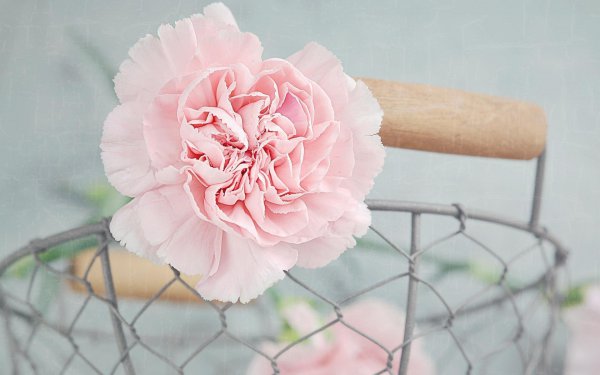 射手座的缺点有哪些