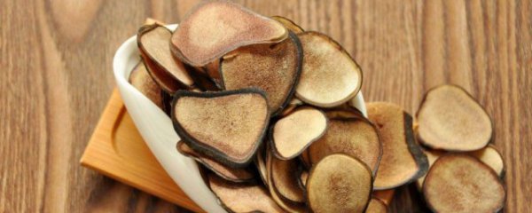 女人吃鹿茸的功效与作用