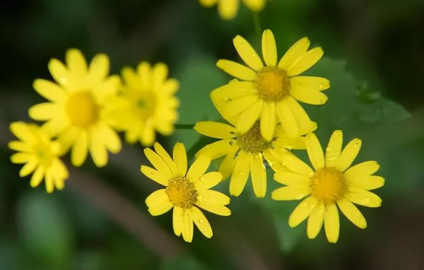 失恋了怎么快速走出来