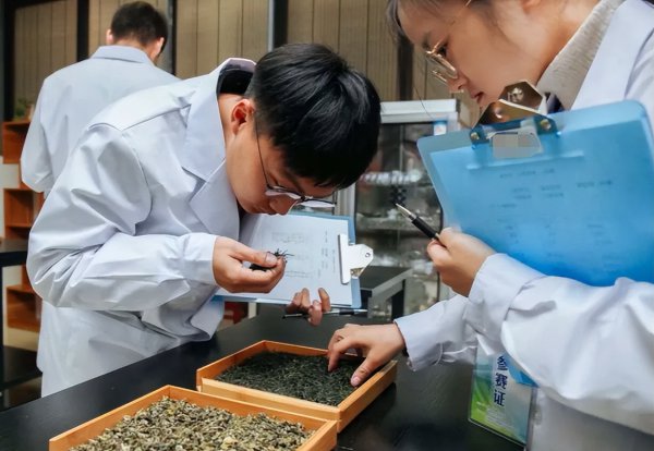 烟草公司真实待遇真的很好吗