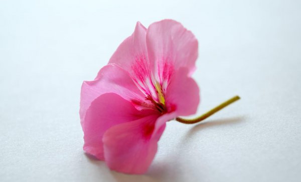 发现男朋友出轨了最聪明的处理方法