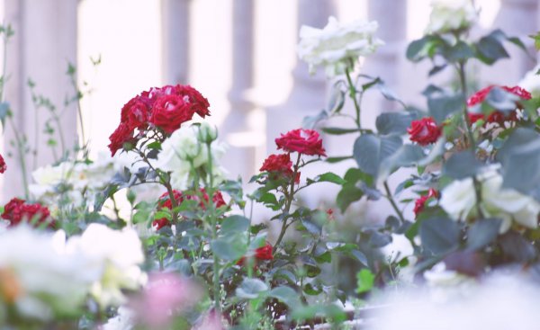 发现男朋友出轨了最聪明的处理方法