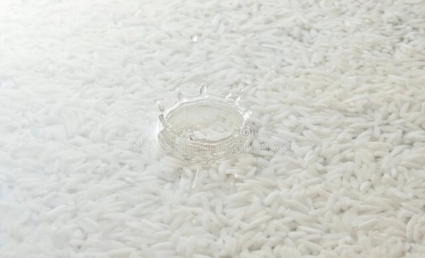 济南有什么特产可以带回家