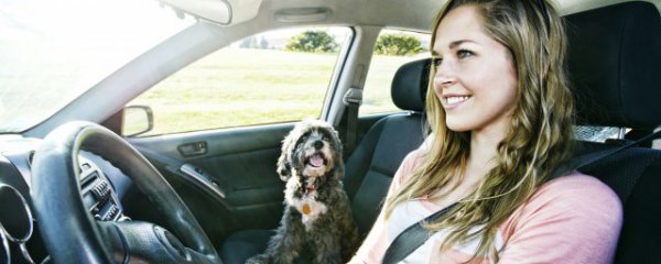 汽车门异响解决方法