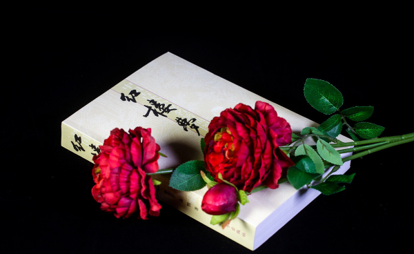 红楼梦背景朝代