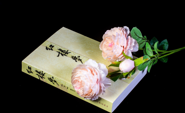 红楼梦背景朝代