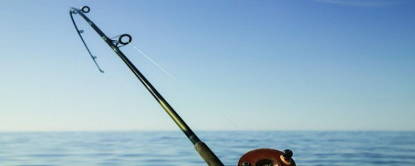 翘嘴鱼用什么饵料好钓