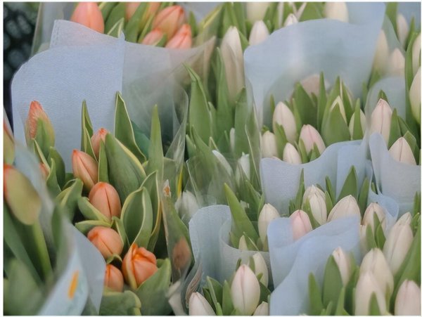 12星座谁最怕白羊座