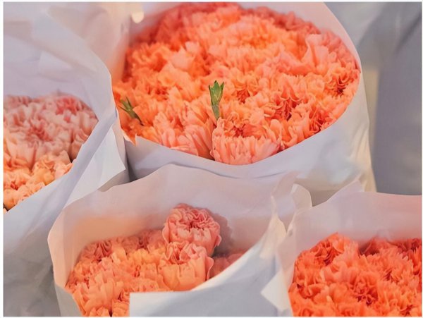 12星座谁最怕白羊座