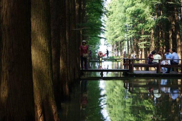 江苏泰州旅游景点大全