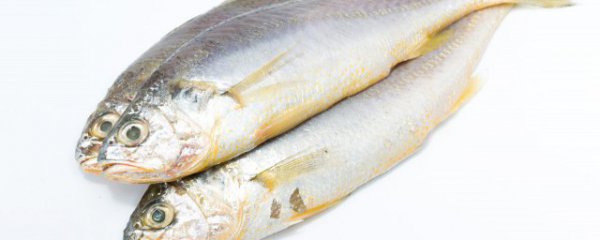 冬季怎样挑选鲅鱼干