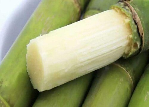 青甘蔗和黑甘蔗哪个好吃