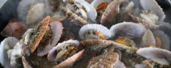 海里贝壳要煮多久才能吃