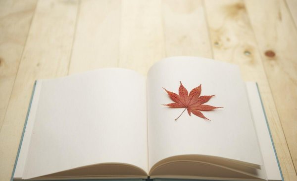 函授是全日制还是非全日制