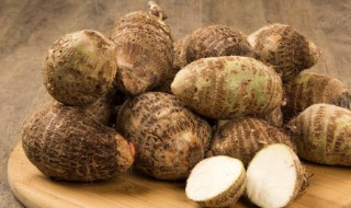 在家芋头种植方法 在家芋头怎么种植