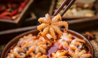 吃八爪鱼的好处和坏处 吃八爪鱼有哪些好处和坏处