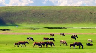 呼伦贝尔大草原在哪里 呼伦贝尔大草原具体地理位置