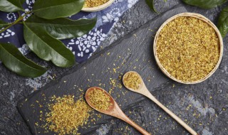 新栽的桂花树怎么养才长得好快 新栽的桂花树的养殖技巧