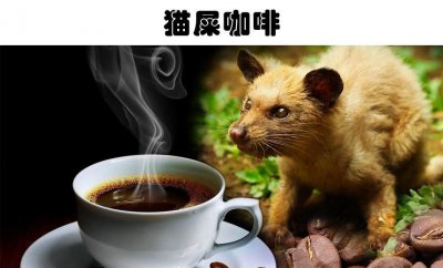 全球最贵的饮料 世界上真实存在的5大非常昂贵的饮料