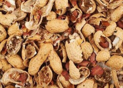 花生壳怎样发酵做肥料 如何用花生壳做花肥来养花