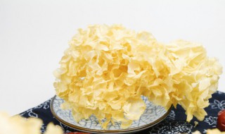 如何判断银耳的好坏 银耳的好坏怎么分辨