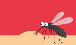 电蚊香片可以开一整个晚上吗 电蚊香片能开一整个晚上吗