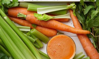 蔬菜大棚适合种什么 蔬菜大棚适合种哪些