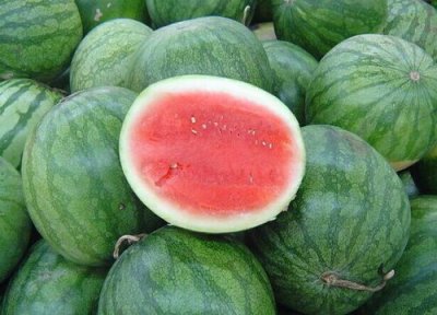 2023年种植西瓜前景分析 西瓜种植亩产量及效益利润