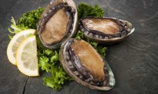 新鲜鲍鱼食用方法 新鲜鲍鱼怎么吃