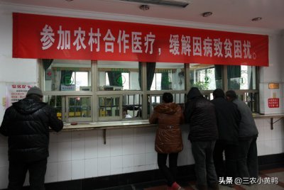 合作医疗保险一年多少钱啊 合作医疗一年需要有多少钱