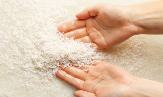 黄金米是什么米 黄金米简单介绍