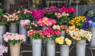 怎么让鲜花保持新鲜 买来的鲜花如何保鲜更久