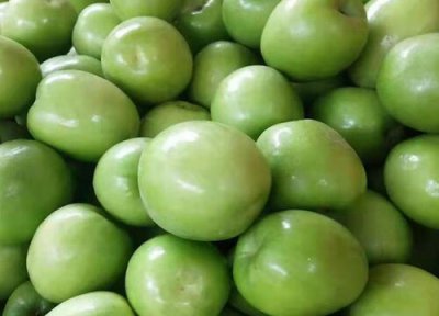 一天吃多少 青枣一天吃几个最好