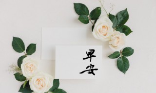 正能量一句话经典语录早安 一句最佳的早安短句子文案