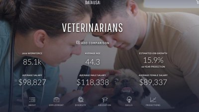 有证的兽医平均一月挣多少钱 持证兽医一个月能赚多少钱