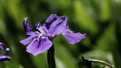 妻子出轨要离婚怎么办 出轨老婆能真的回头吗