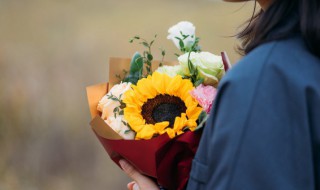 装修新房适合送什么花束 乔迁之喜送什么鲜花