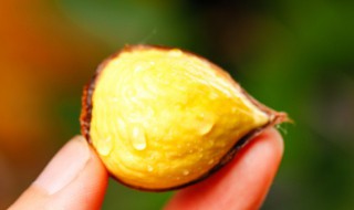 生板栗怎么判断新鲜不新鲜 生板栗新鲜不新鲜的鉴别方法