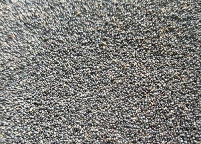 太阳花有种子吗 太阳花种子的获得及种植方法