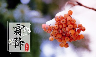 霜降的注意事项 霜降要注意什么