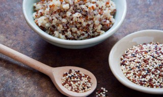 黎麦煮多久 藜麦要煮多久才熟