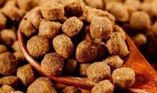 怎么分辨狗粮的好坏 如何分辨狗粮质量的好坏呢