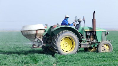 小麦追肥的最佳时期在什么时候 小麦追肥什么时间最好