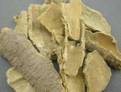 椿根皮特点 椿根皮的功效与作用