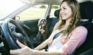 怎么判断车身是否正 开车怎么判断车身正不正