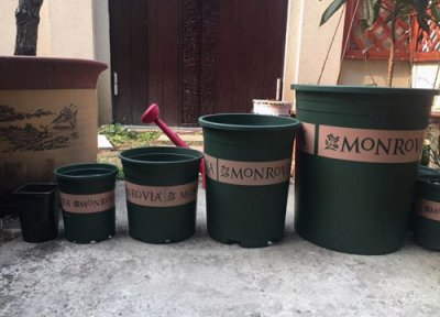 一加仑花盆口径多大尺寸 1加仑花盆直径是多少厘米