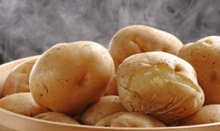 土豆的做法好吃又健康 土豆怎么做好吃又健康