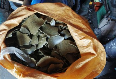 菜籽饼可以直接撒土里做肥料吗 菜籽饼施肥简单的方法