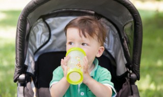 泉州孩子打卡景点有哪些 泉州跟孩子一起打卡景点有哪些