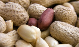 花生要煮多久 花生煮多长时间比较好